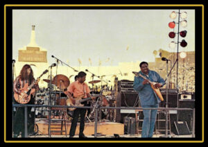 Albert King (Wattstax '72)